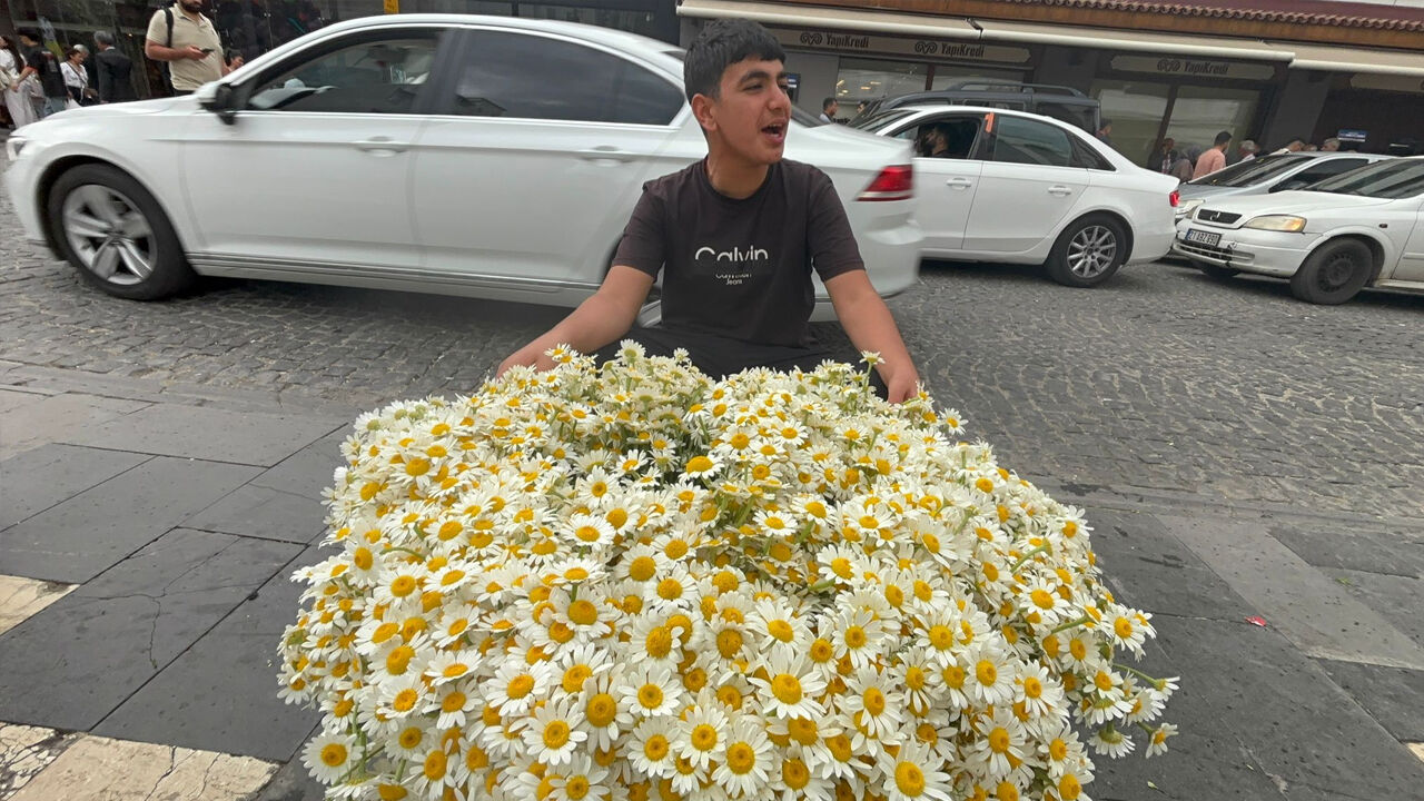 Diyarbakır’ın Kalbinde Bahar Çiçekleri3
