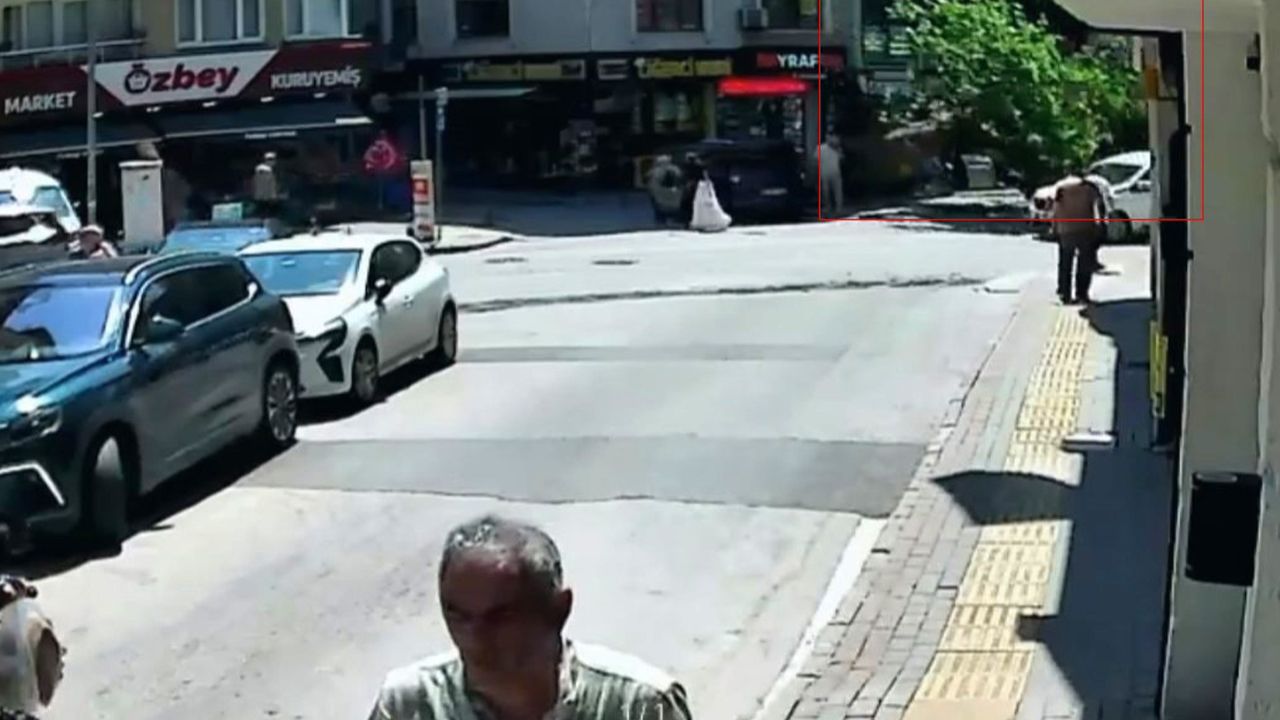150 yıllık çınar devrildi