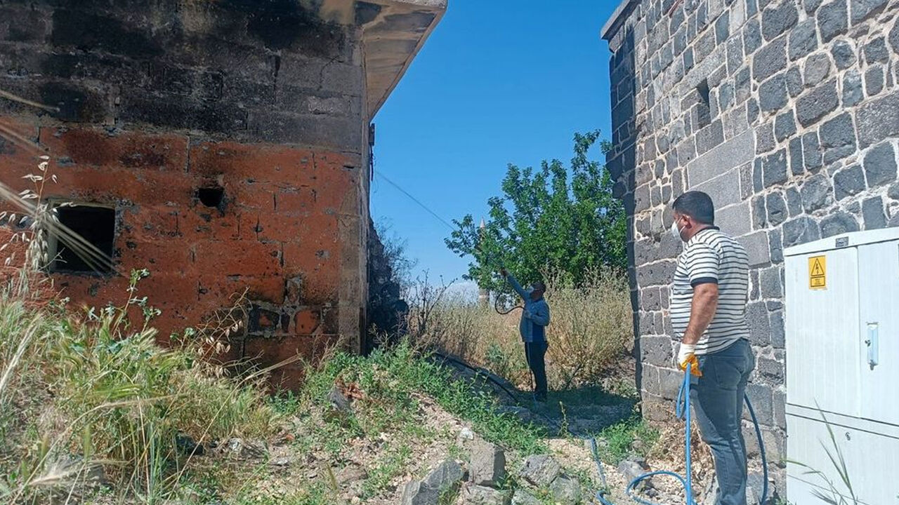 Diyarbakır’da Akrep Alarmı! Mahallelerde Ilaçlama Başlatıldı