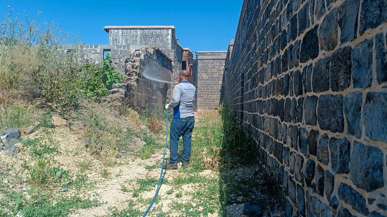 Diyarbakır’da Akrep Alarmı! Mahallelerde Ilaçlama Başlatıldı1