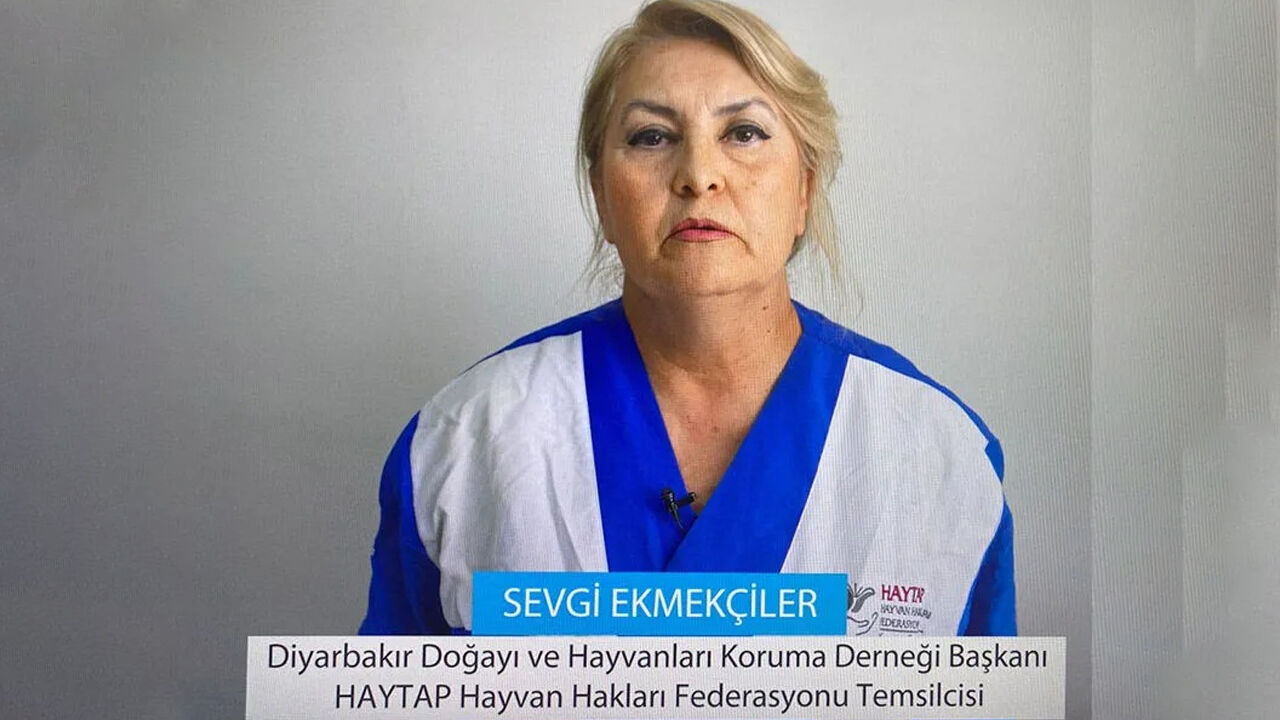 Diyarbakır’da Esnaf Ve Çiftçiden Sokak Hayvanları Için Örnek Girişim2