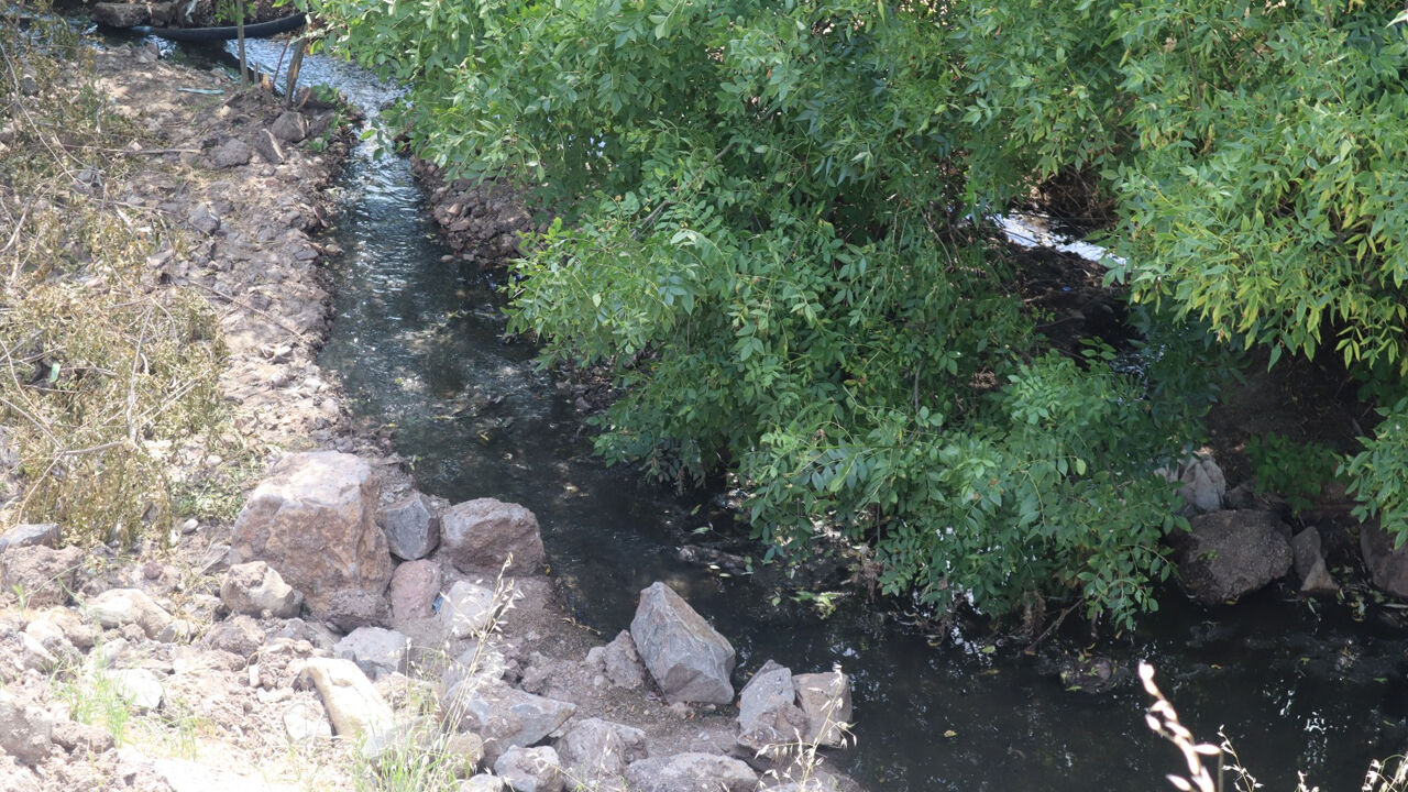 Diyarbakır'da Koku, Çamur Ve Sinek Isyanı!2