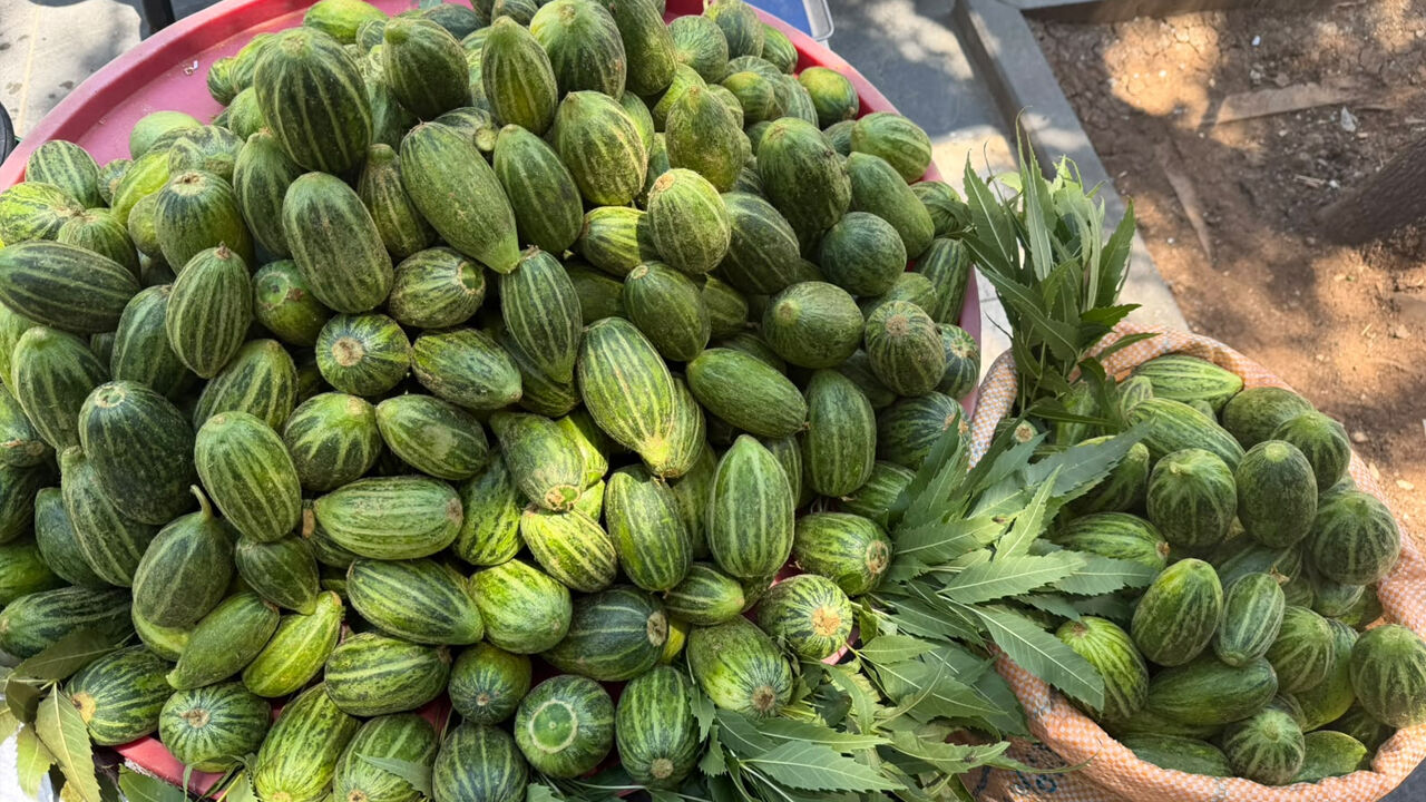 Diyarbakır’da Tanesi 30 Tl’den Satılıyor2