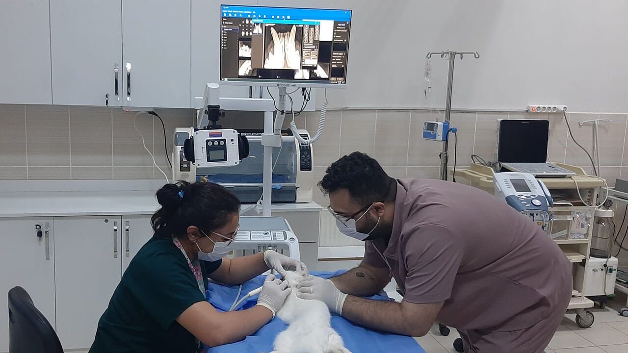 Diyarbakır’da Yılda 15 Bin Hayvan Tedavi Görüyor