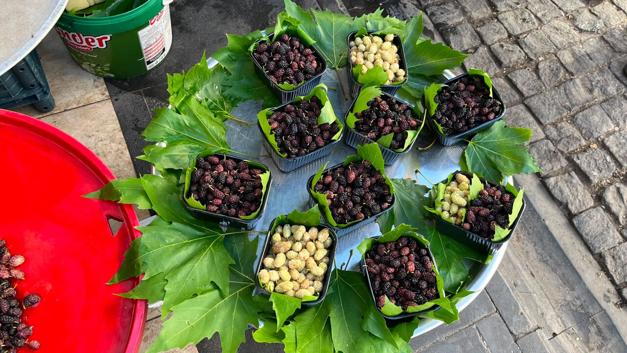Diyarbakırın Mor Hazinesi Tezgahlarda4