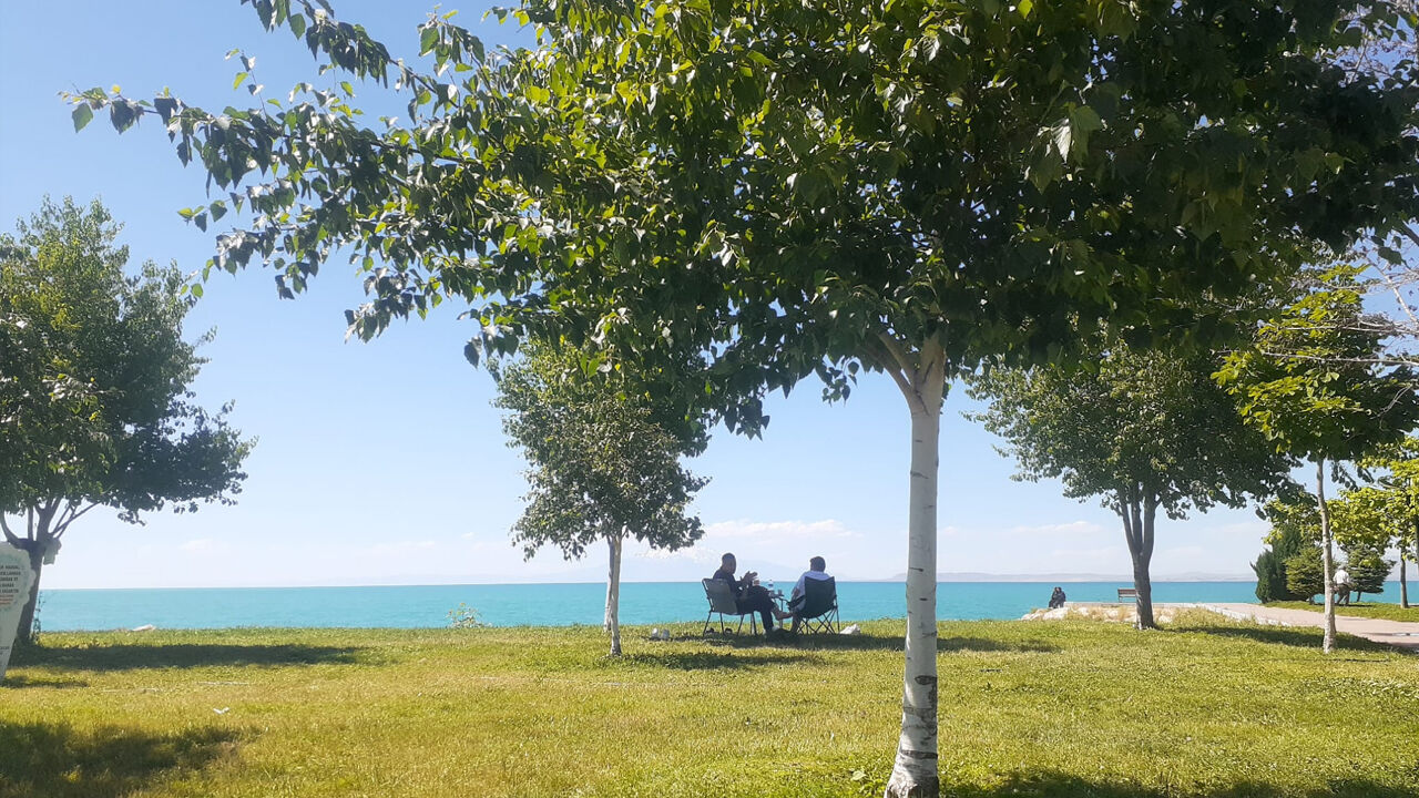 Van Ya Da Su Altında Kanat Çırpan Üveyik Kuşu1
