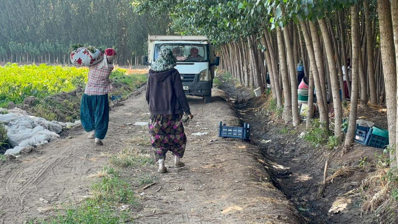 Diyarbakır Surları Eşliğinde2