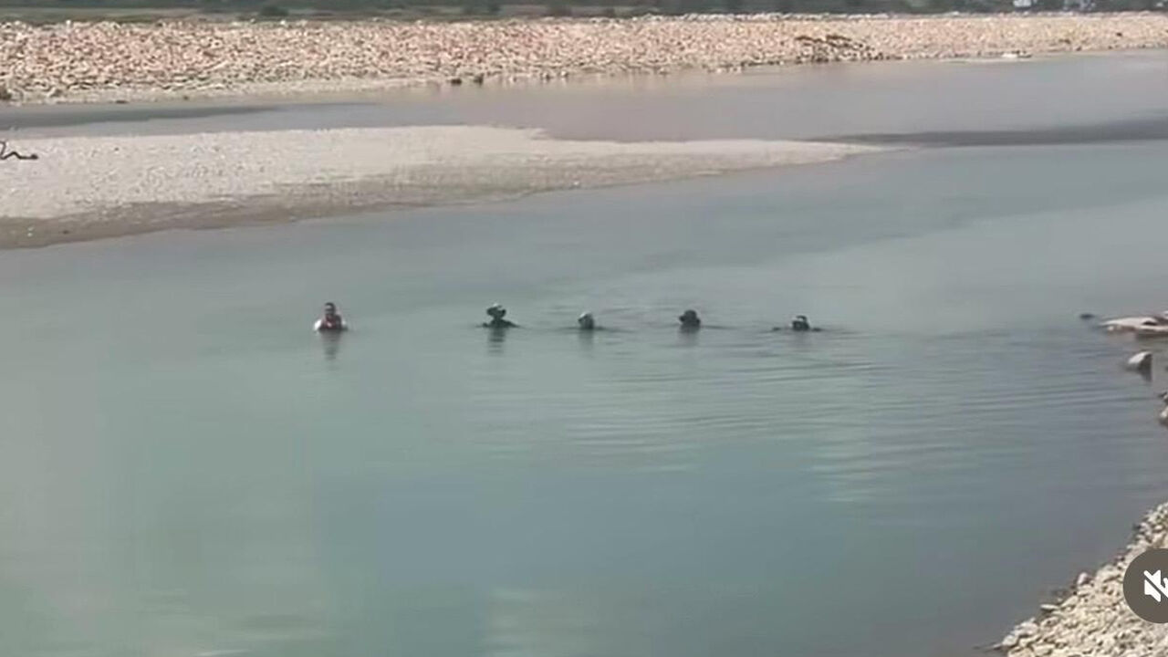 Malabadi3-1