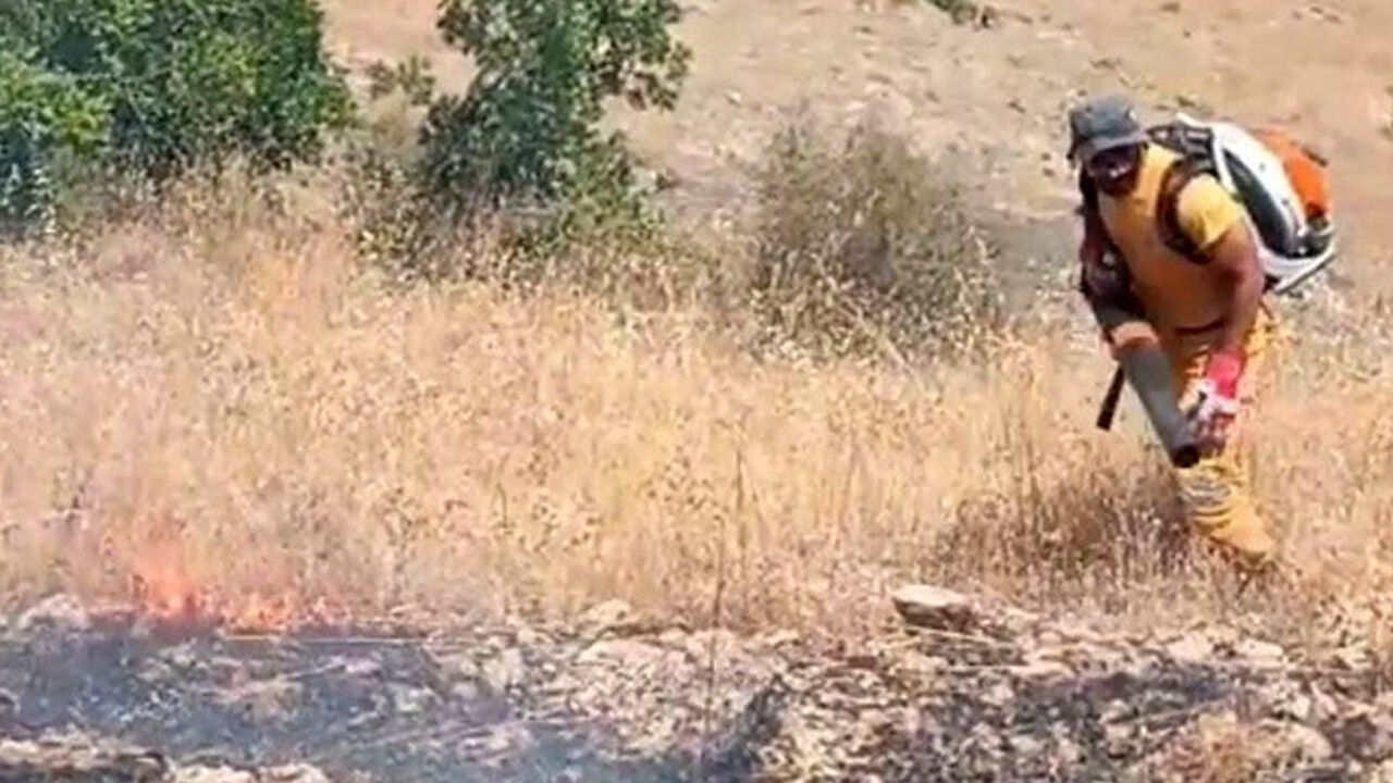 Orman Yangını2