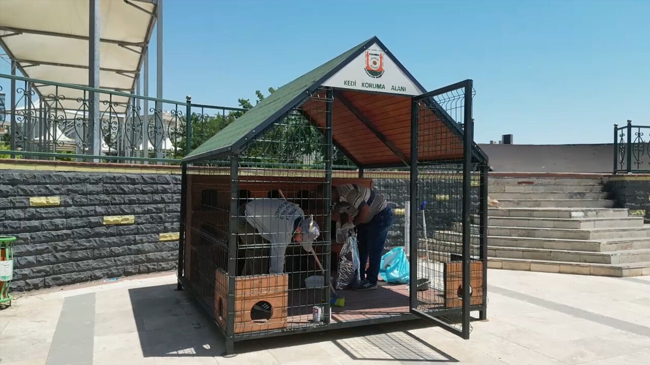 Şanlıurfa'da 11 Noktaya 12 Kedi Evi Kuruldu1