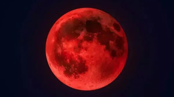 0X0 1786719837073