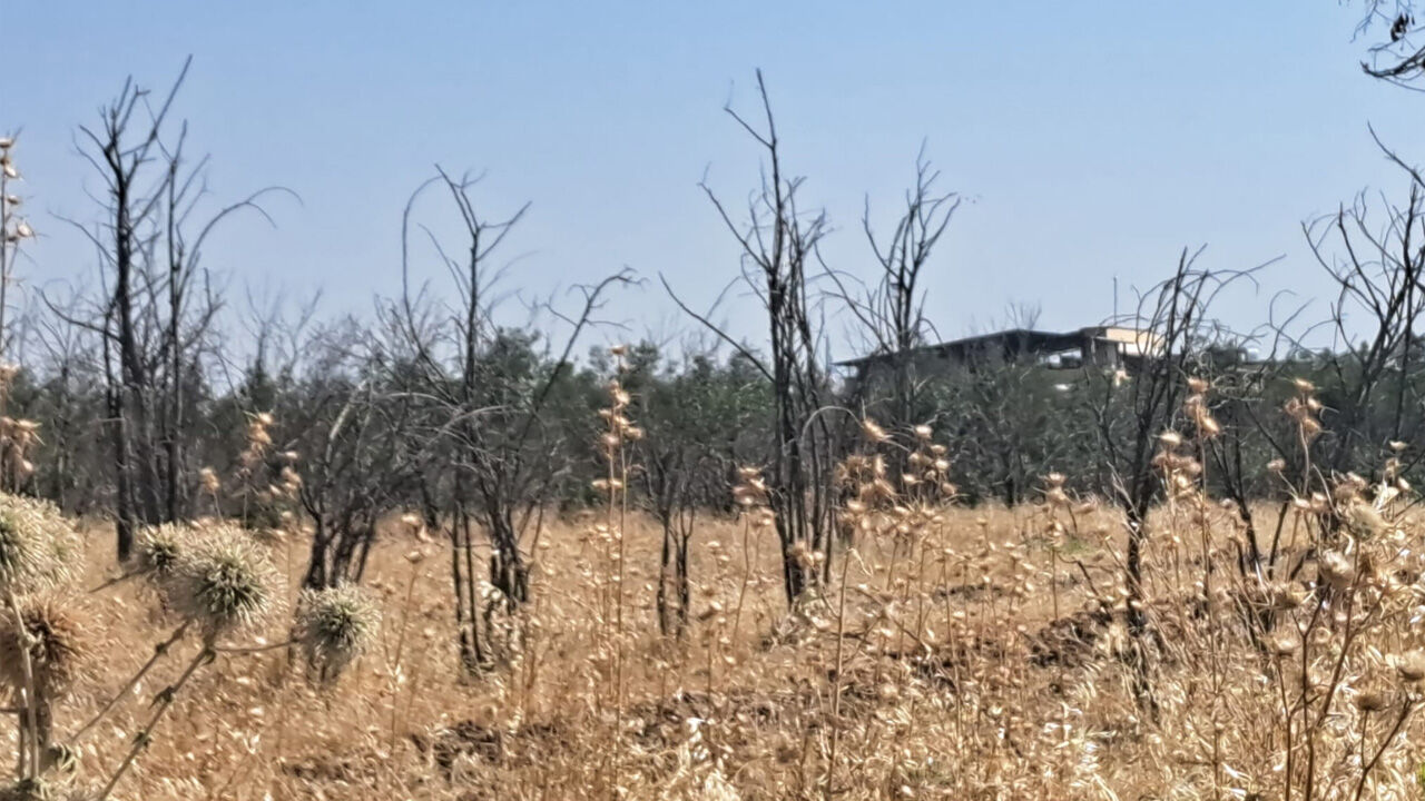 Dicle Üniversitesi’nde Yeşil Doku Tehlikede3