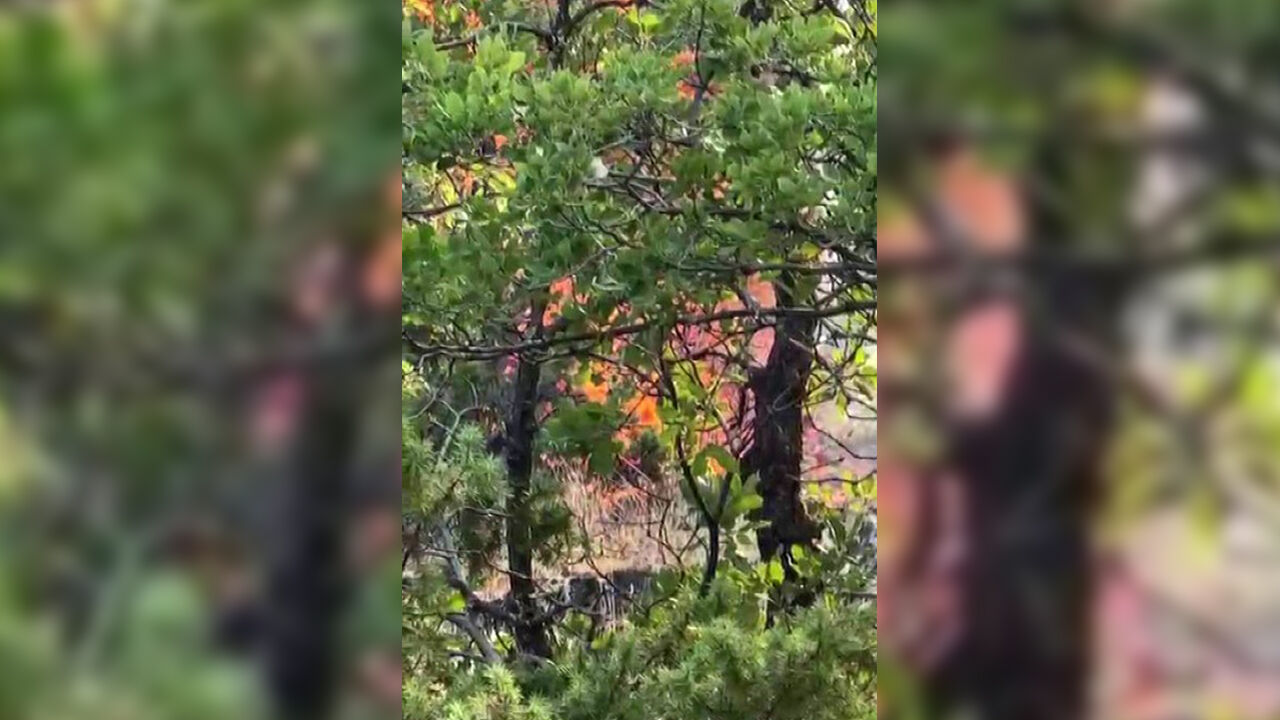 Diyarbakır'da Bir Kez Daha Anız Yangını1
