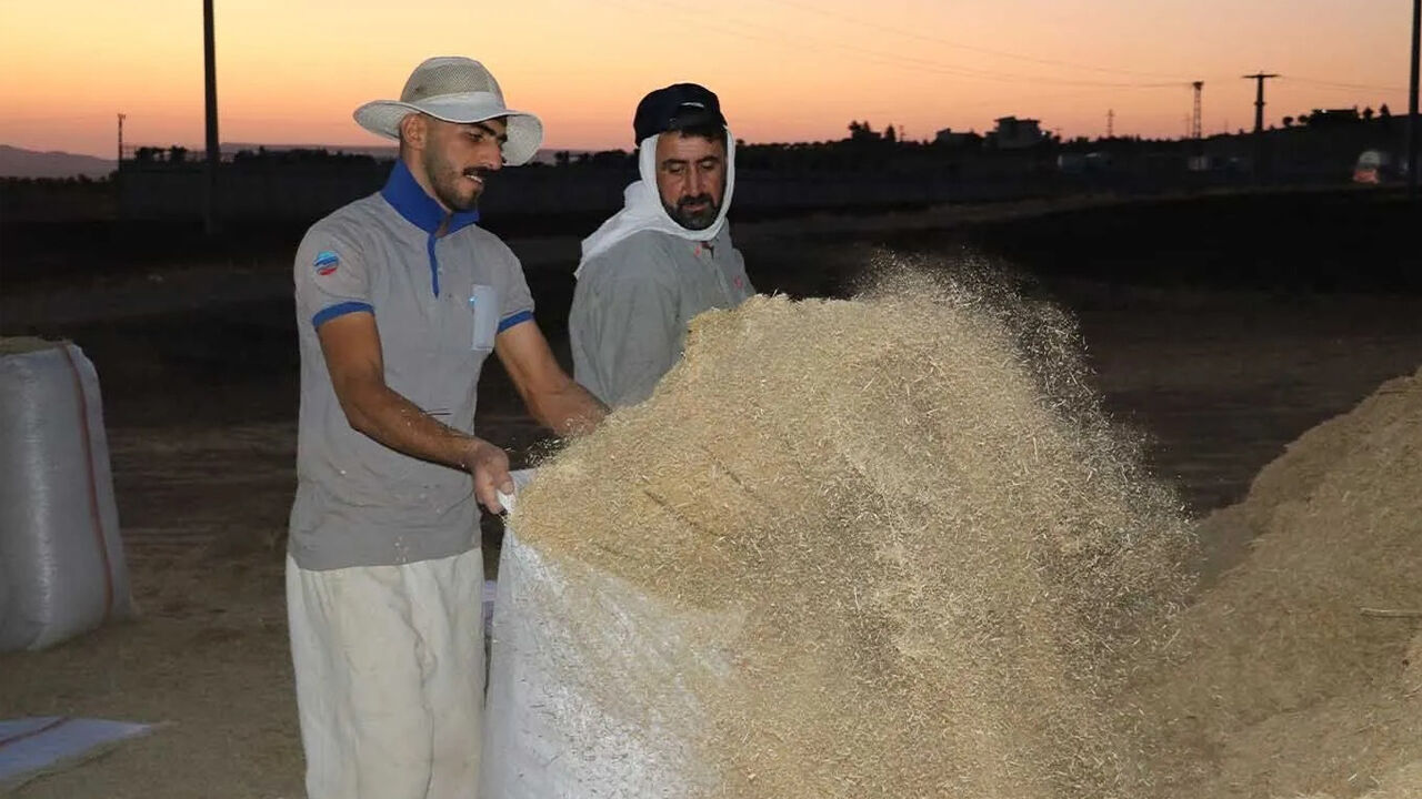 Diyarbakır’da Çileli Saman Ticareti!2