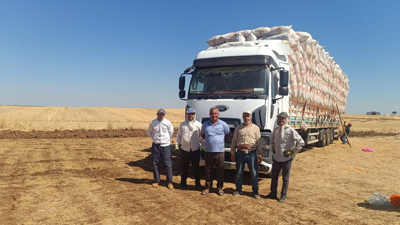 Diyarbakır’da Çileli Saman Ticareti!4