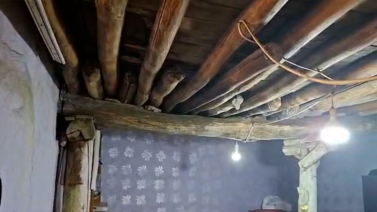 Diyarbakır’da Çökme Tehlikesi Olan Evde Korkulu Yaşam3