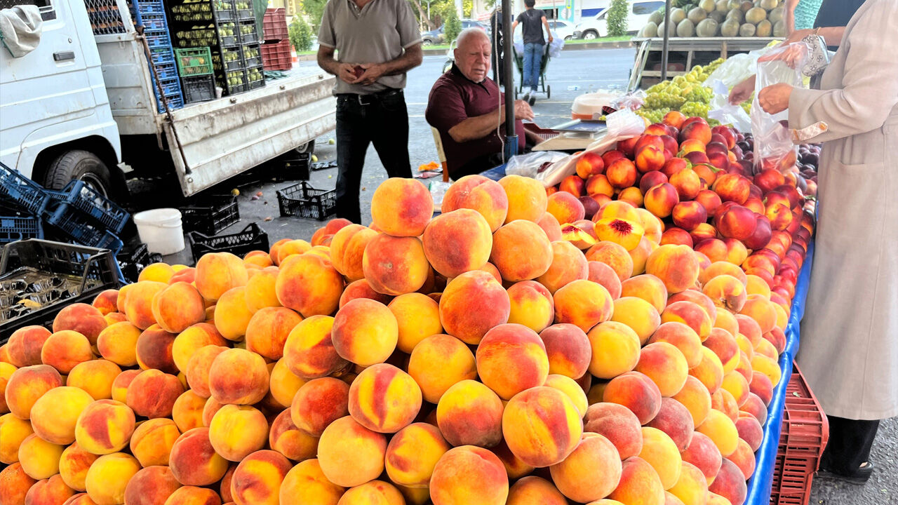 Diyarbakır’da Vitamin Almak Cep Yakıyor3