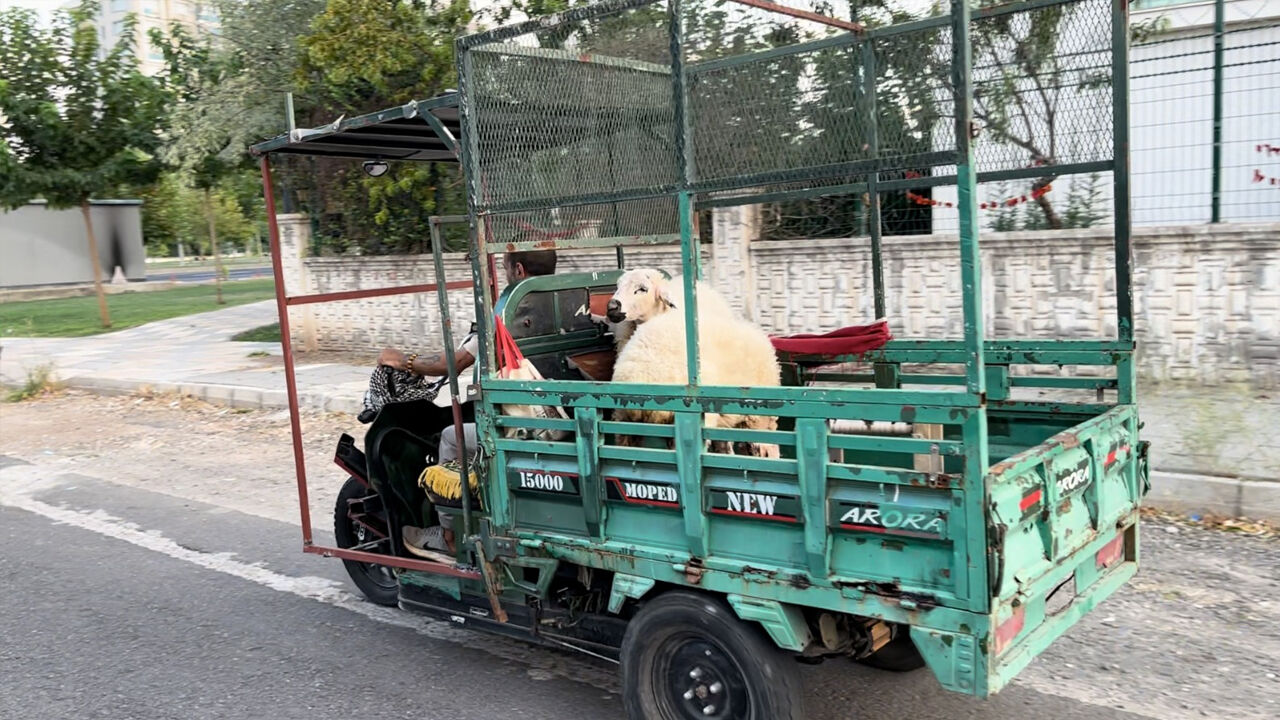 Diyarbakır'ın 'Mandıra Filozofu'4