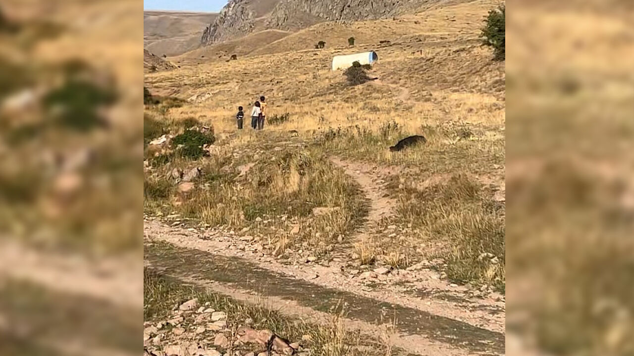 Acıhaber2