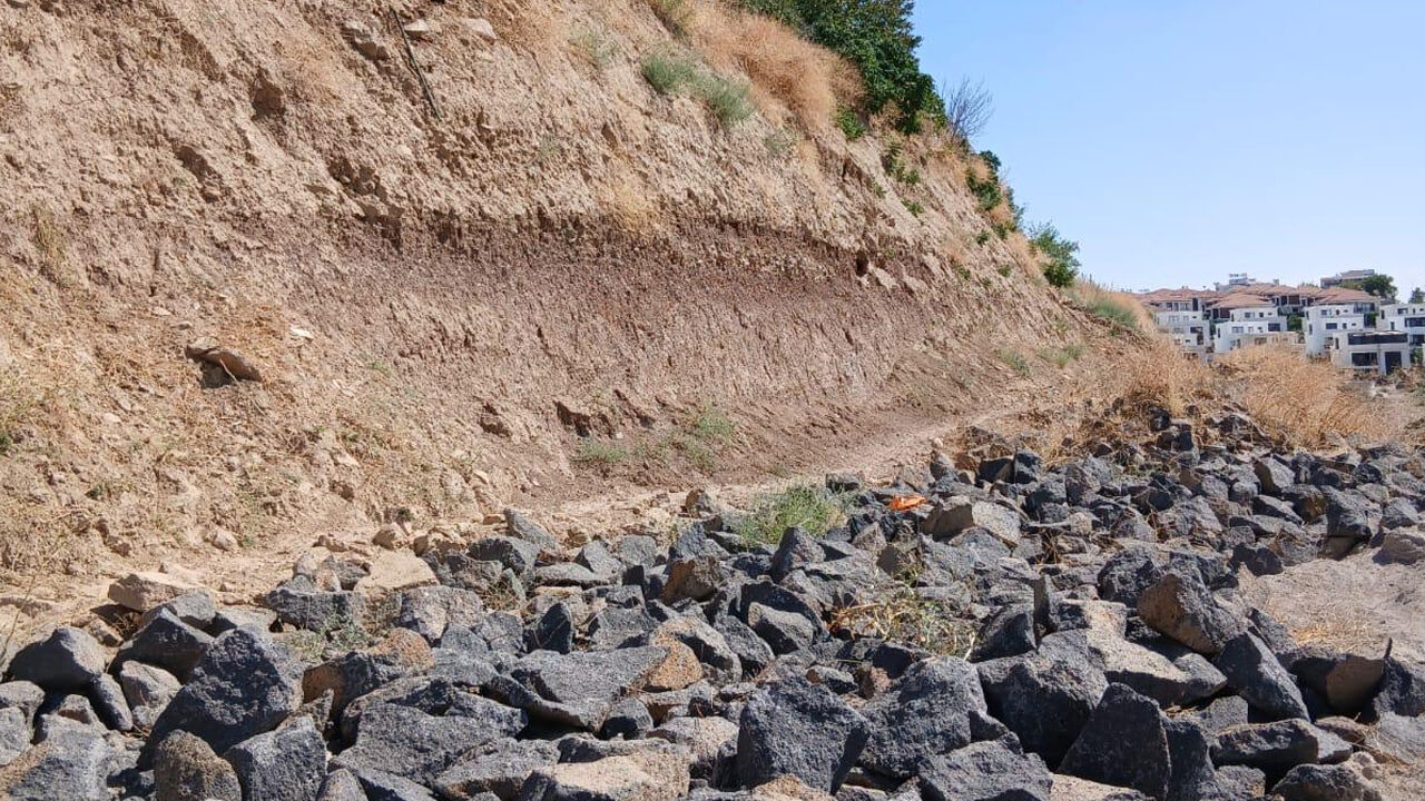 Diyarbakır’da Ev Sahiplerini Korkutan Kaz