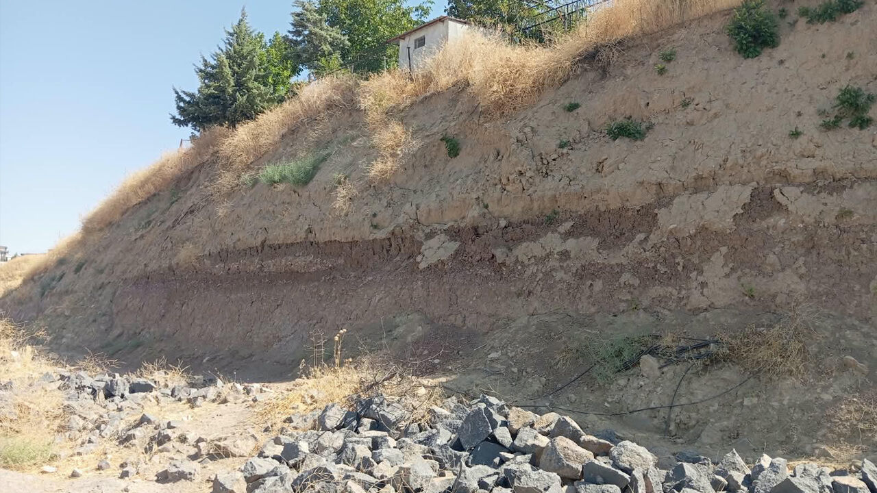 Diyarbakır’da Ev Sahiplerini Korkutan Kaz1