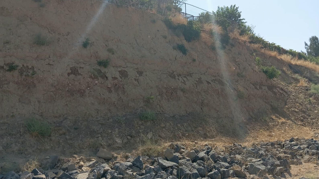 Diyarbakır’da Ev Sahiplerini Korkutan Kaz2