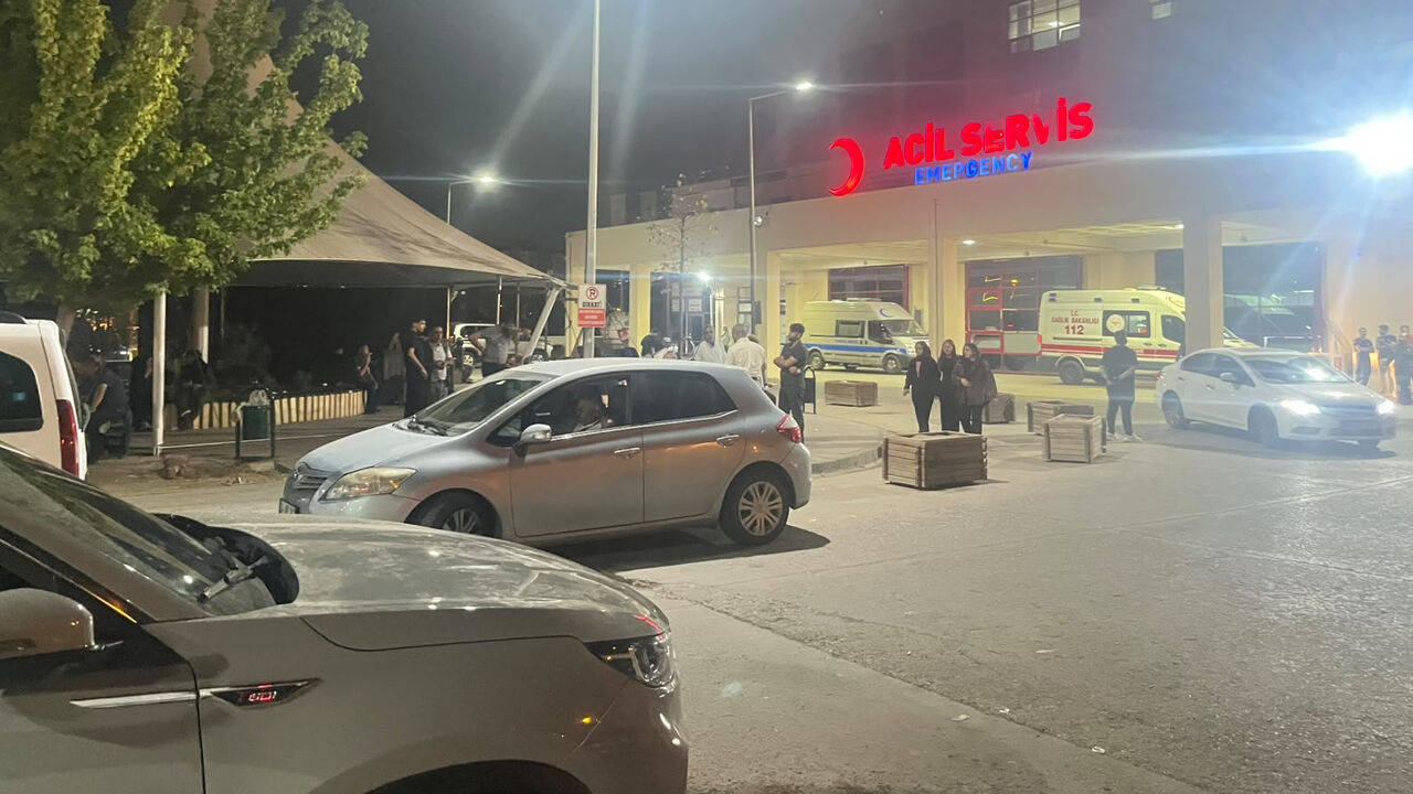 Gazi Yaşargil3