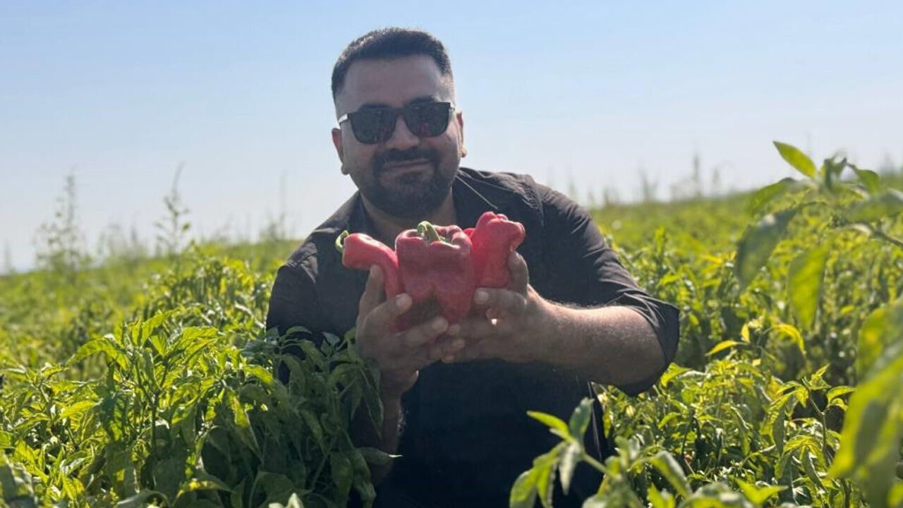 Tarlalardan Sofralara Acı Yolculuk Başladı2