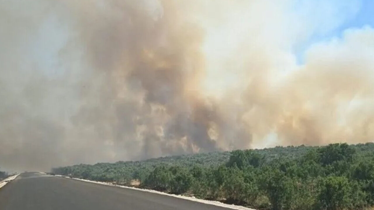 Diyarbakır’da yangın ormanlık alana sıçradı