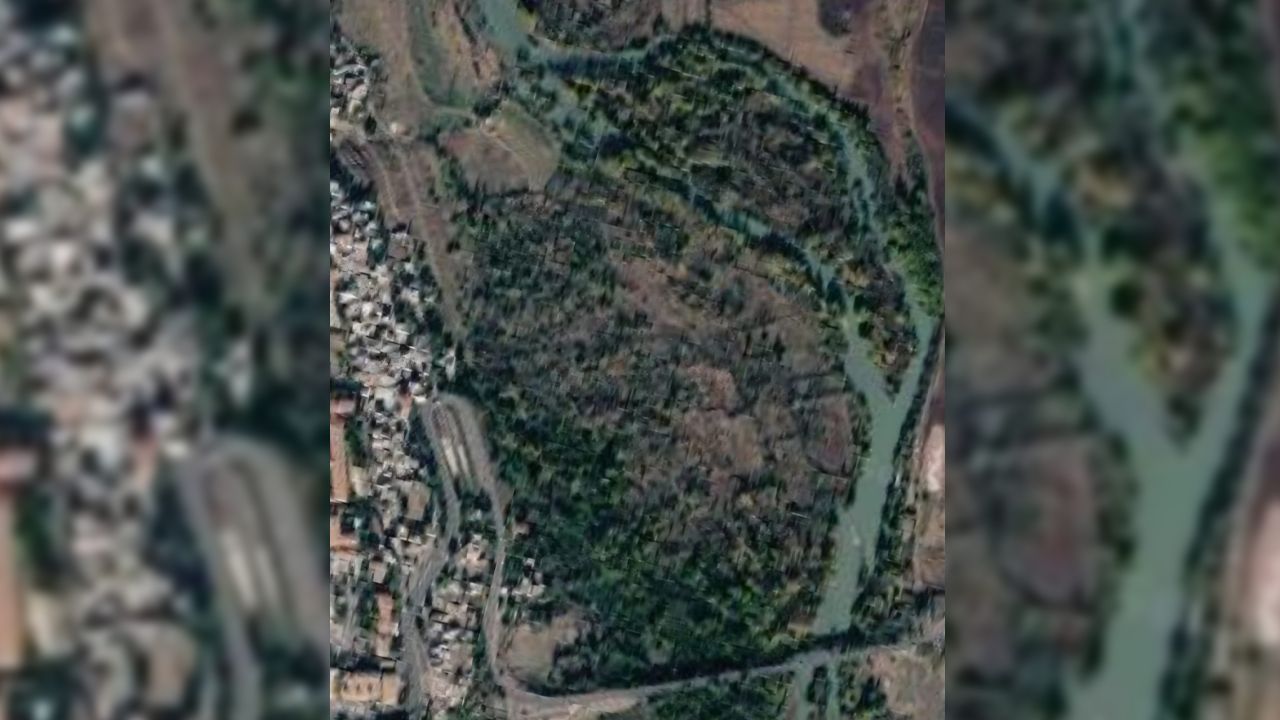 Dicle3