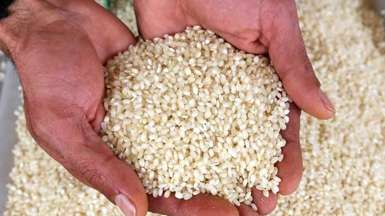 Diyarbakır Coğrafi Işarette Türkiye’de Kaçıncı Sırada3