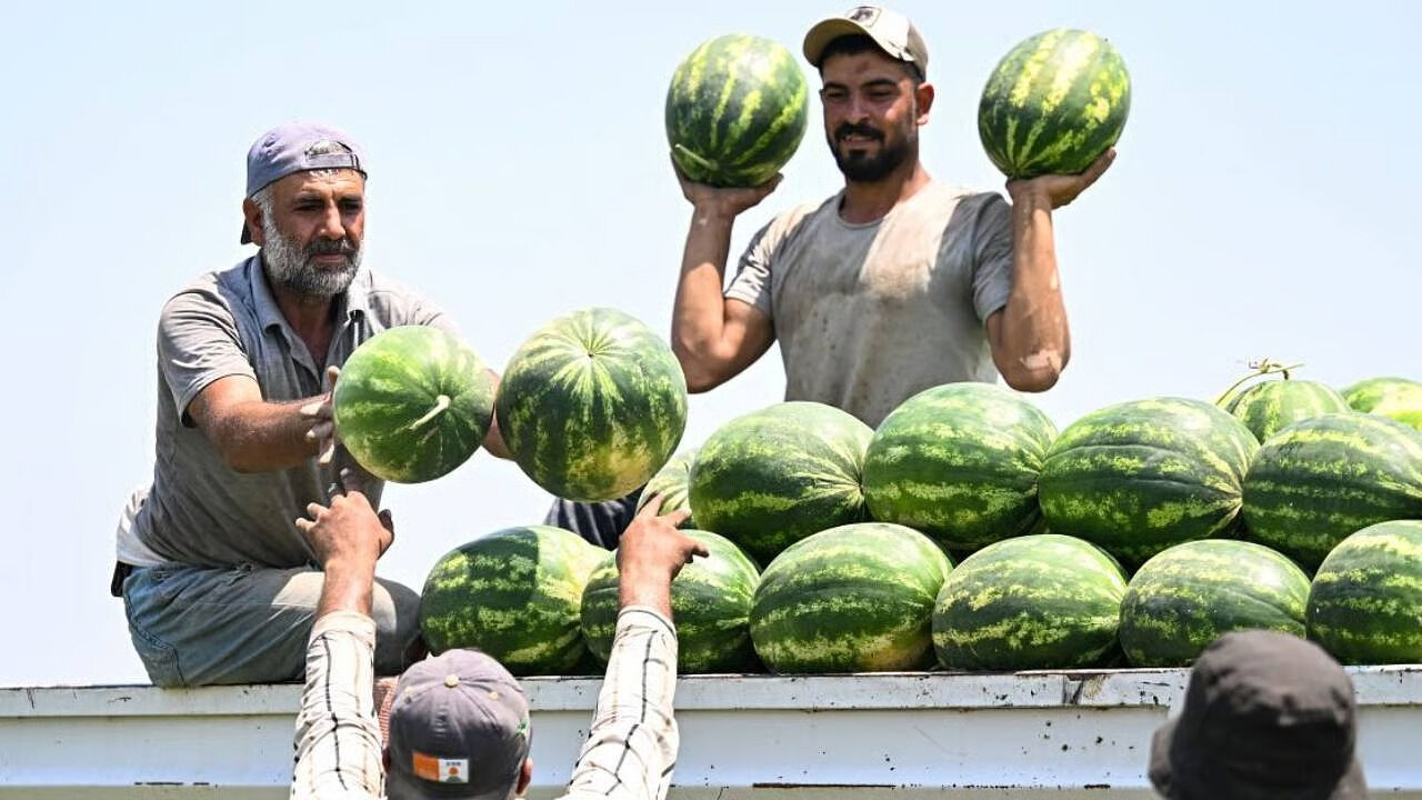 Diyarbakır Coğrafi Işarette Türkiye’de Kaçıncı Sırada4