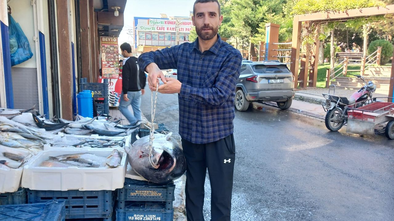 Diyarbakır Ergani’de 100 Kiloluk Dev Orkinos Şaşkınlığı2