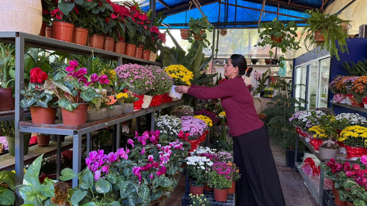 Diyarbakır’da Botanik Bahçe Işleten Şilan Kan2