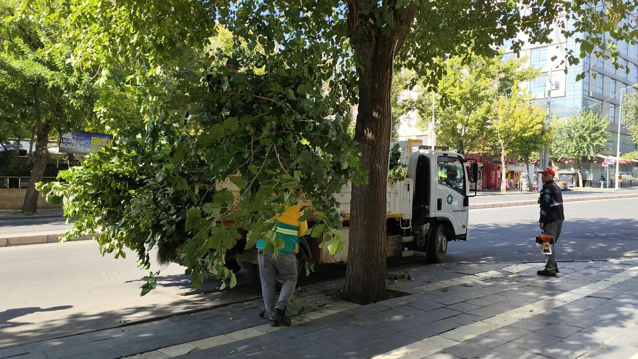Diyarbakır'da Sonbahar Hazırlığı3