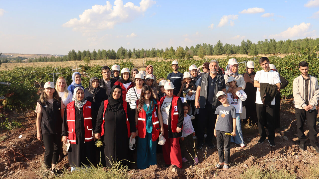 Diyarbakır’da Uygulamalı Üzüm Hasat Eğitimi