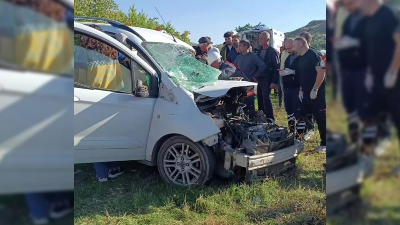 Diyarbakır'da otomobilin motor kısmında doğan kedi yavruları kurtarıldı