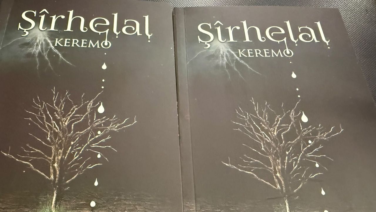 Kürt Yönetmen Keremo, 6 Kitabını Diyarbakır’da Tanıttı2