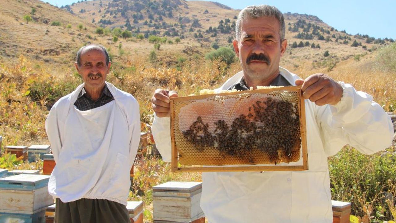 Şırnak'ın Dağlarında Bal Bereketi1