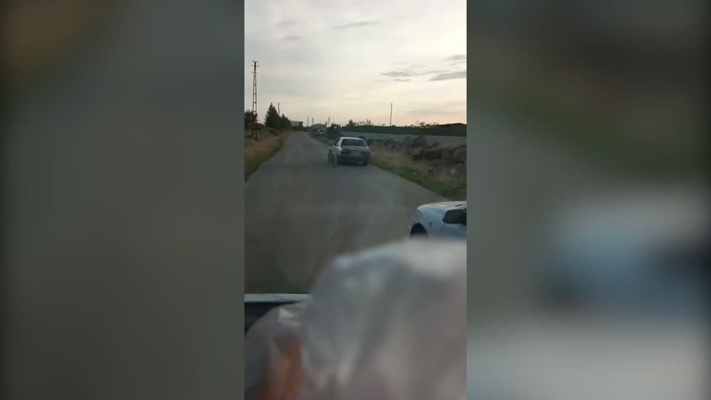 Köpeği hareket halindeki araca bağlayan sürücü gözaltında